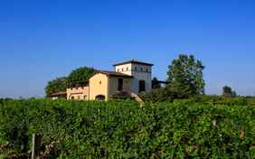 Kleiner Agriturismo inmitten von unzähligen Weinreben